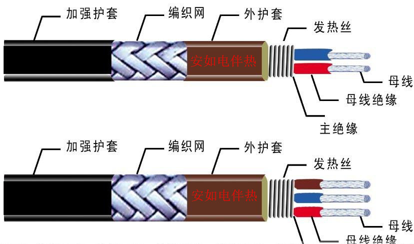 伴热带的分类