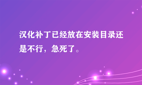 汉化补丁已经放在安装目录还是不行，急死了。