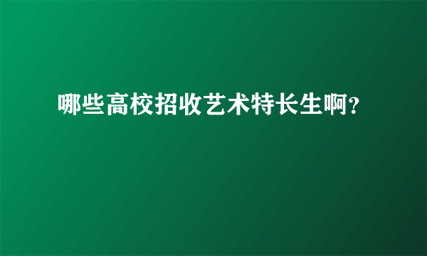 哪些高校招收艺术特长生啊？