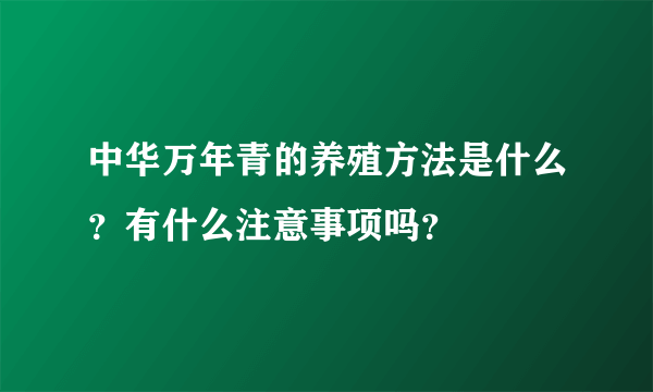 中华万年青的养殖方法是什么？有什么注意事项吗？