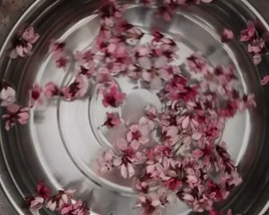 桃花酿制作方法