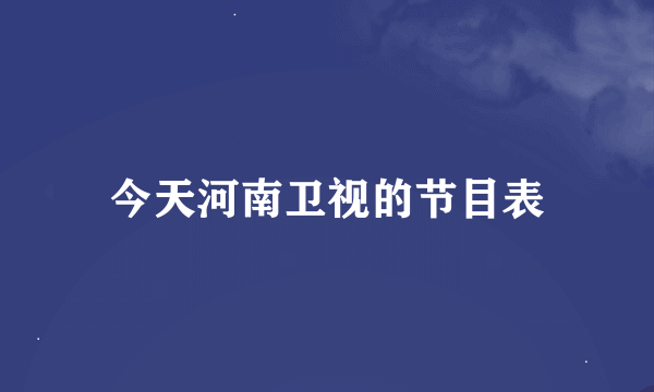 今天河南卫视的节目表