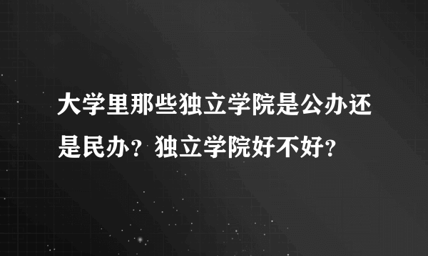 大学里那些独立学院是公办还是民办？独立学院好不好？