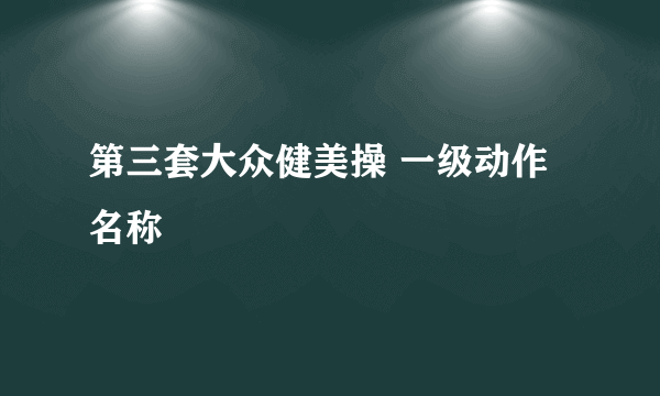 第三套大众健美操 一级动作名称