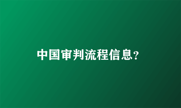 中国审判流程信息？