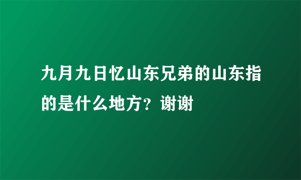 九月九日忆山东兄弟的山东指的是什么地方？谢谢