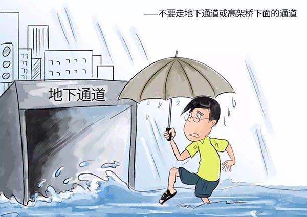 雨季三防工作方案应包括哪些内容