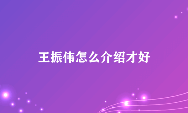 王振伟怎么介绍才好