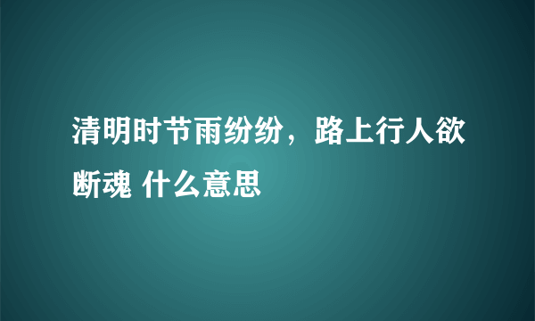 清明时节雨纷纷，路上行人欲断魂 什么意思