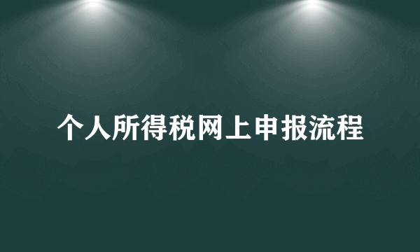 个人所得税网上申报流程