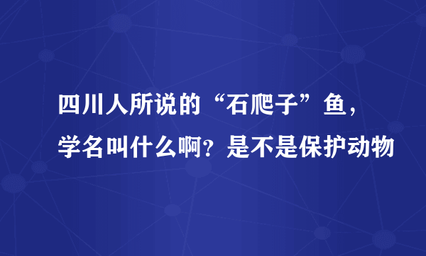 四川人所说的“石爬子”鱼，学名叫什么啊？是不是保护动物