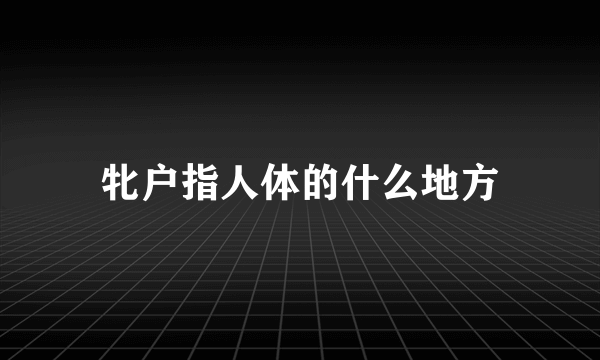 牝户指人体的什么地方