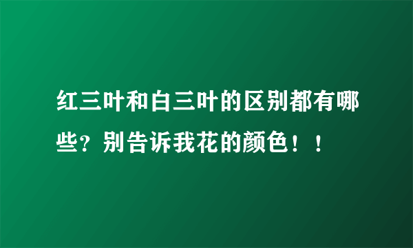 红三叶和白三叶的区别都有哪些？别告诉我花的颜色！！