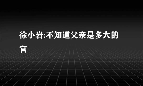 徐小岩:不知道父亲是多大的官