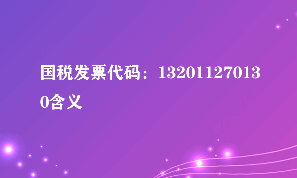 国税发票代码：132011270130含义