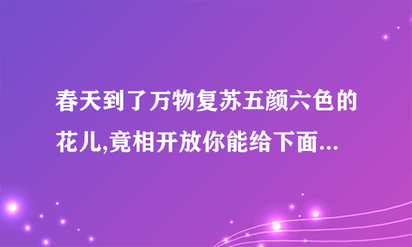 春天到了万物复苏五颜六色的花儿,竟相开放你能给下面的字加上部首并组词看看谁的小花开的最艳