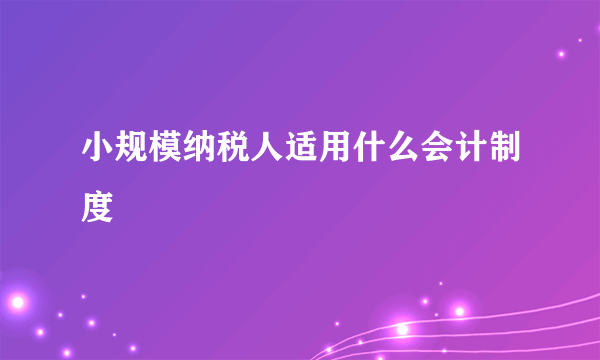 小规模纳税人适用什么会计制度