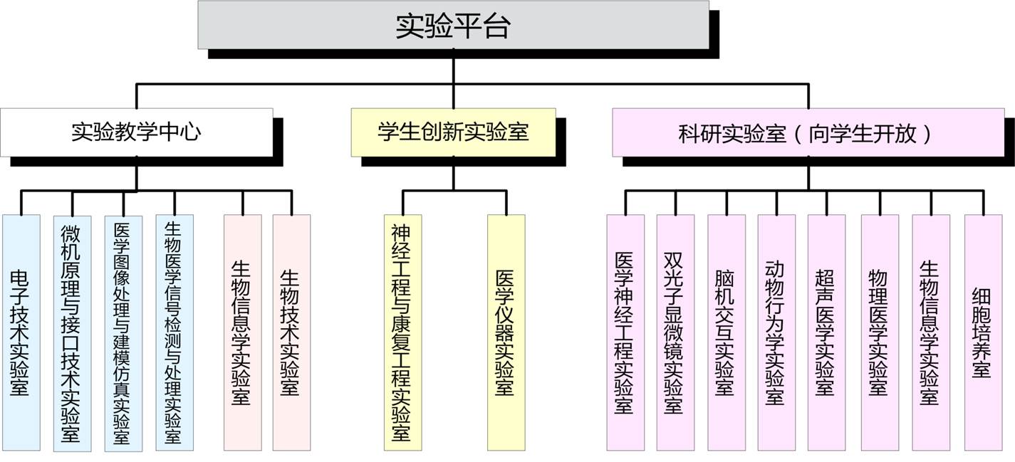 生物医学工程就业前景怎么样?