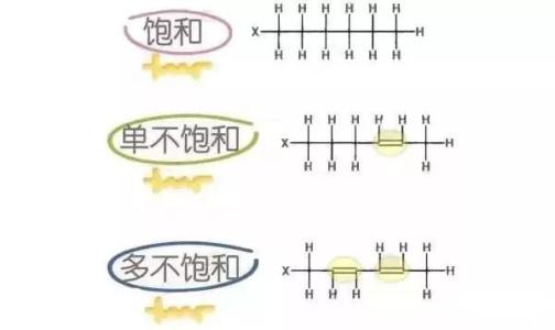 什么是不饱和脂肪酸和饱和脂肪酸