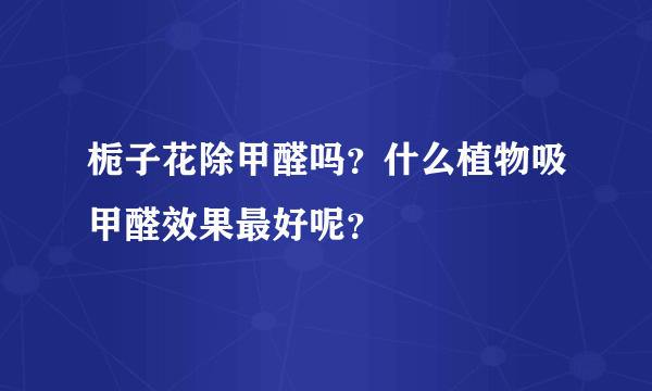 栀子花除甲醛吗？什么植物吸甲醛效果最好呢？