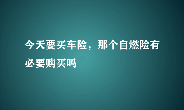 今天要买车险，那个自燃险有必要购买吗