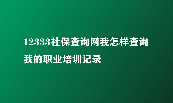 12333社保查询网我怎样查询我的职业培训记录