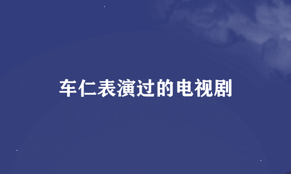 车仁表演过的电视剧