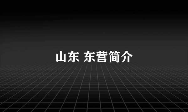 山东 东营简介