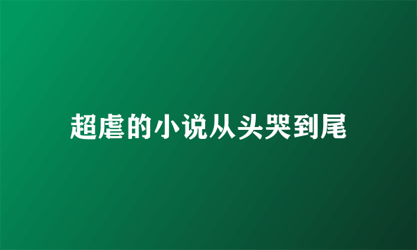 超虐的小说从头哭到尾