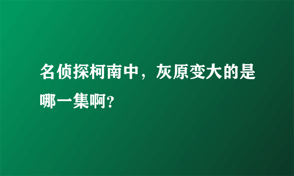 名侦探柯南中，灰原变大的是哪一集啊？