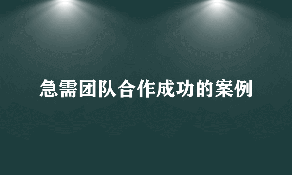 急需团队合作成功的案例