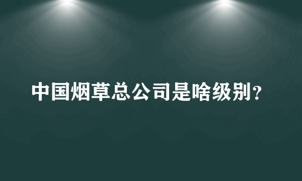 中国烟草总公司是啥级别？