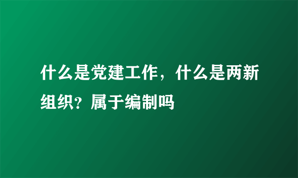 什么是党建工作，什么是两新组织？属于编制吗