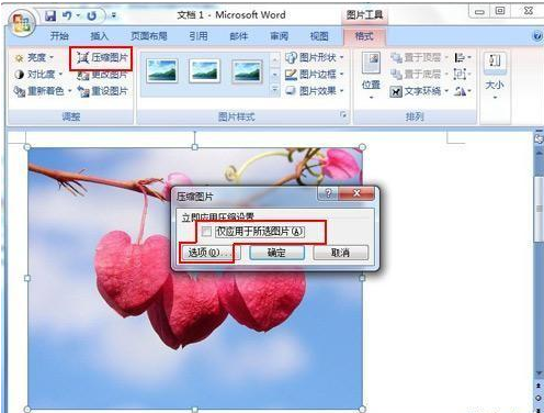 office2010,插入到Word文档中的图片不显示的原因