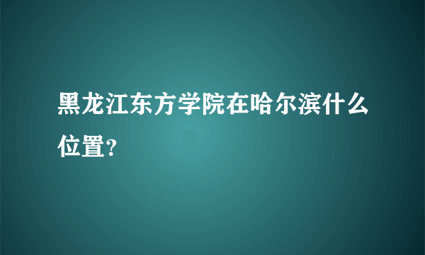 黑龙江东方学院在哈尔滨什么位置？