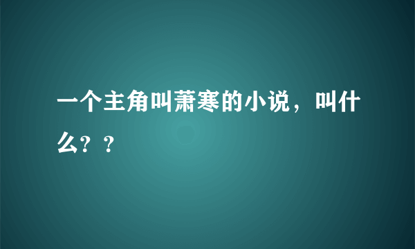 一个主角叫萧寒的小说，叫什么？？