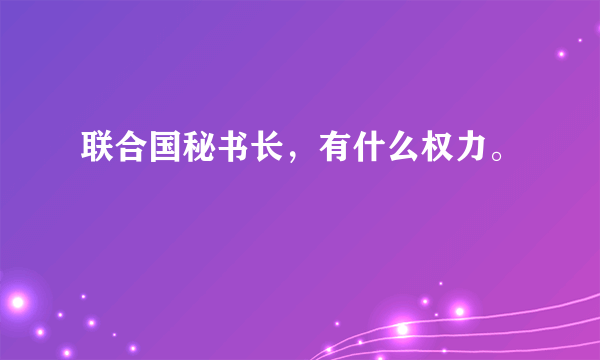 联合国秘书长，有什么权力。