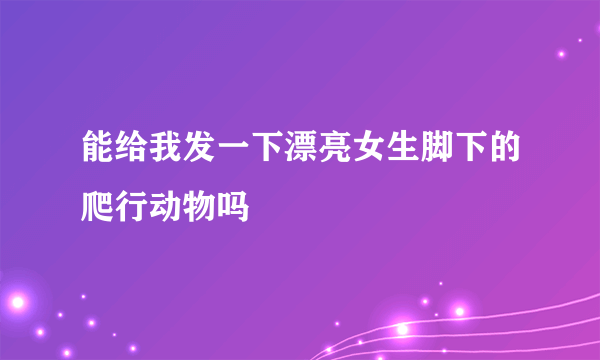 能给我发一下漂亮女生脚下的爬行动物吗