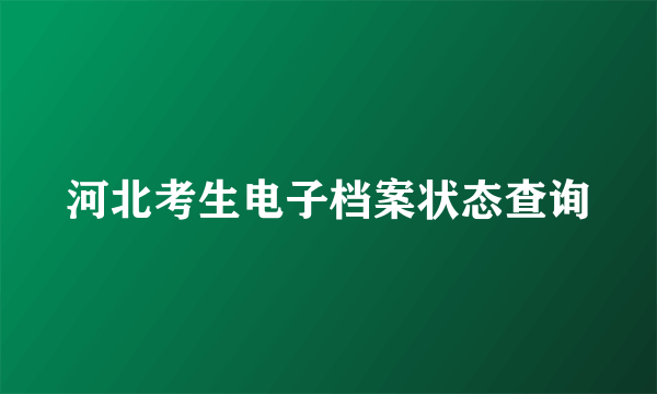 河北考生电子档案状态查询