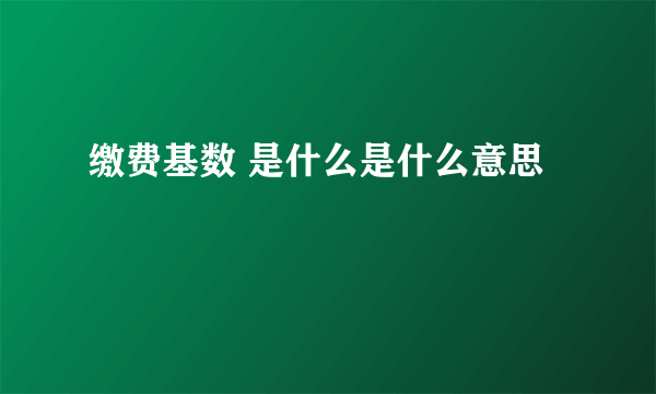 缴费基数 是什么是什么意思