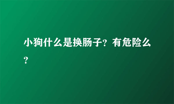 小狗什么是换肠子？有危险么？