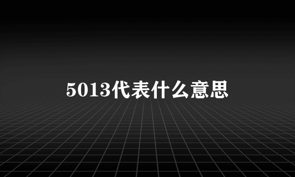 5013代表什么意思