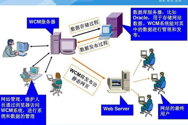 职位中SSE，SSA和SA是什么意思？是什么的缩写？