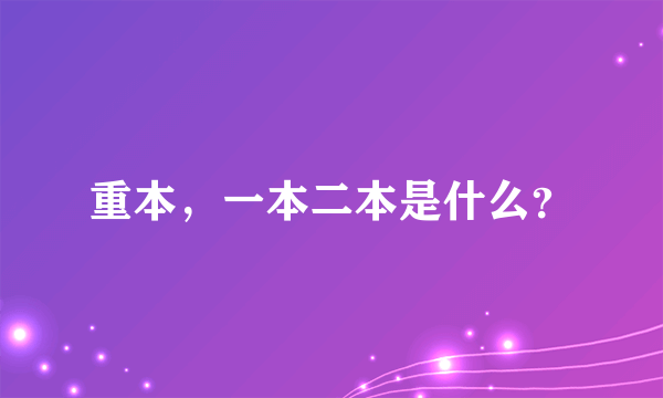 重本，一本二本是什么？