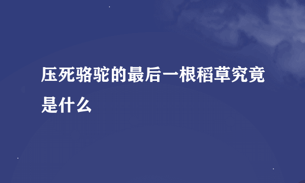 压死骆驼的最后一根稻草究竟是什么