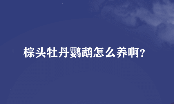 棕头牡丹鹦鹉怎么养啊？