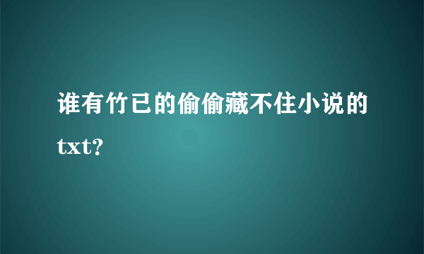 谁有竹已的偷偷藏不住小说的txt？