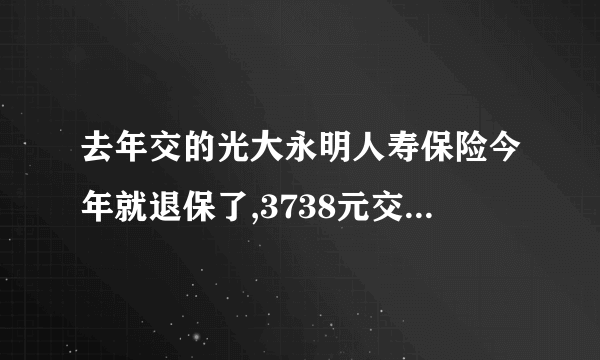 去年交的光大永明人寿保险今年就退保了,3738元交的,怎么只退了255元啊？