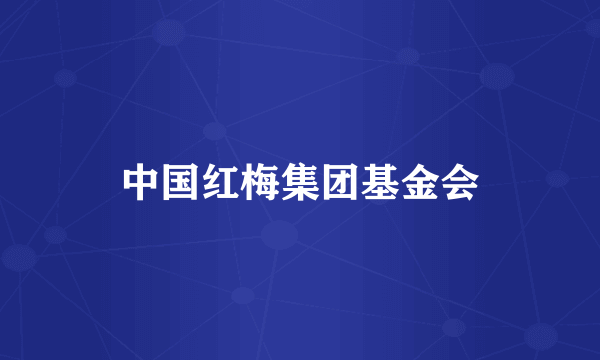 中国红梅集团基金会