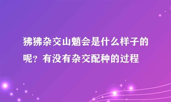 狒狒杂交山魈会是什么样子的呢？有没有杂交配种的过程